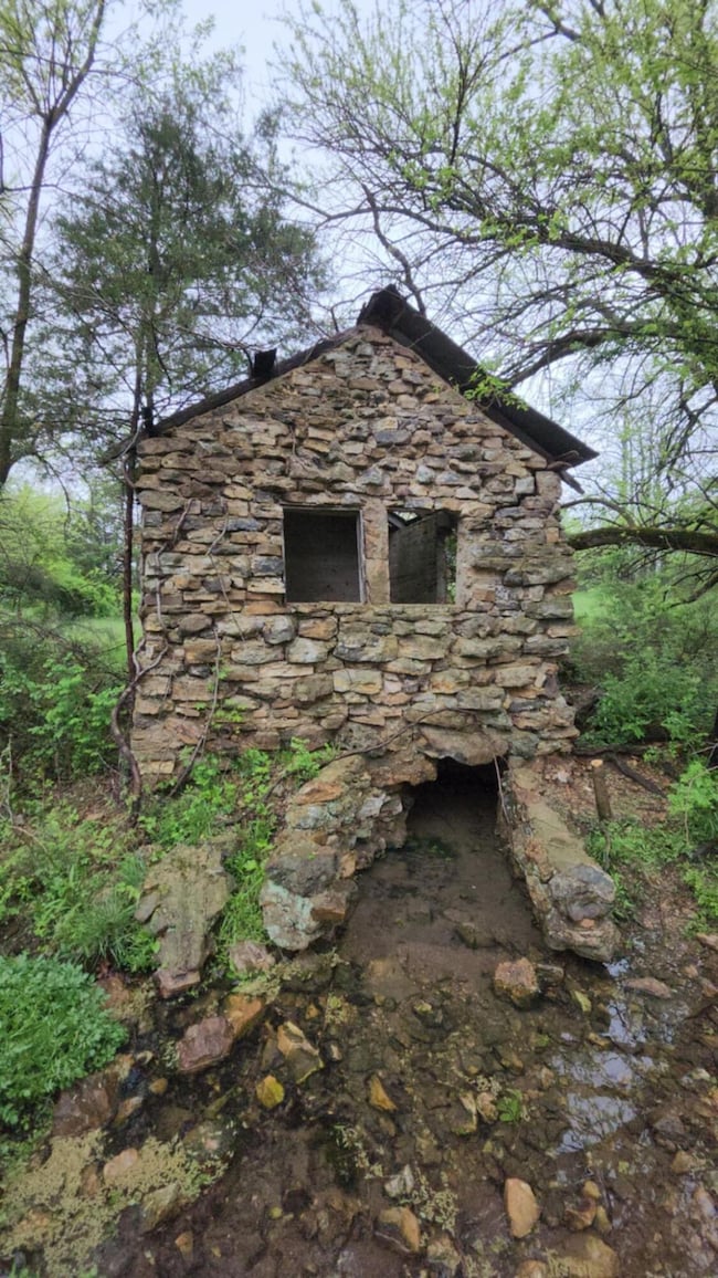 000 Wolfe, Mountain Grove, MO 65711 - photo 2