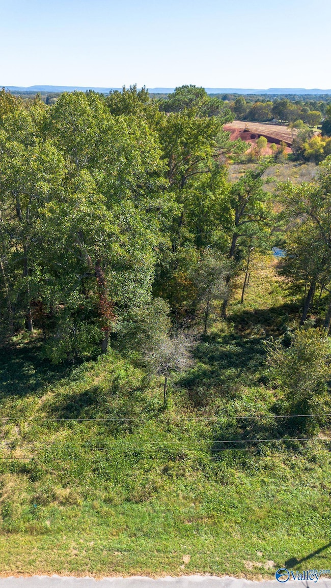 142 Easy St, Hazel Green, AL 35750 - photo 2