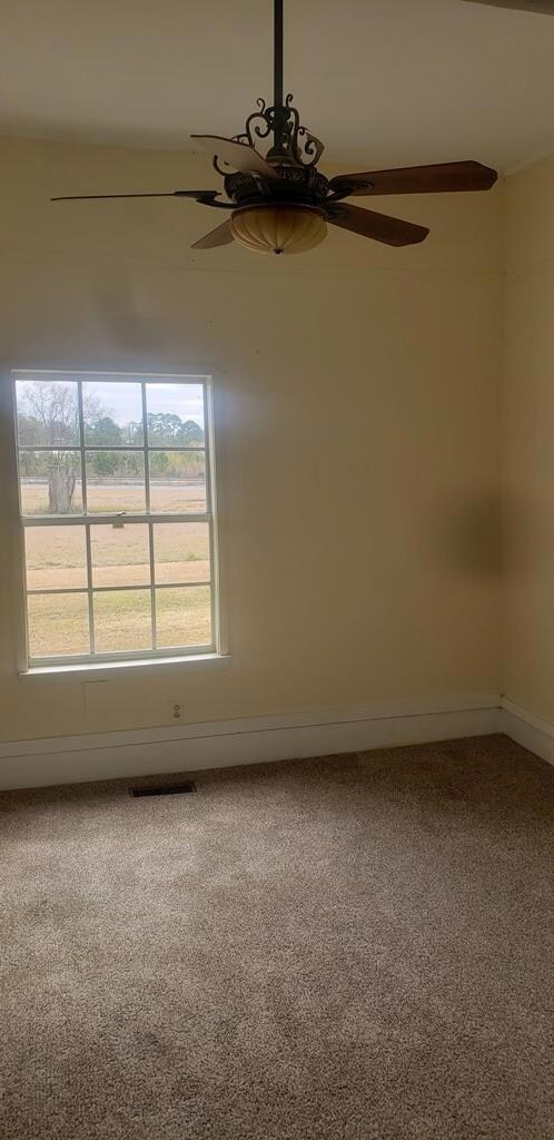 203 Parker St, Bainbridge, GA 39817 - photo 6