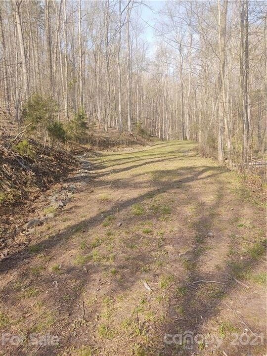 0 River Crest Pkwy unit 25538697, Rutherfordton, NC 28139 - photo 6