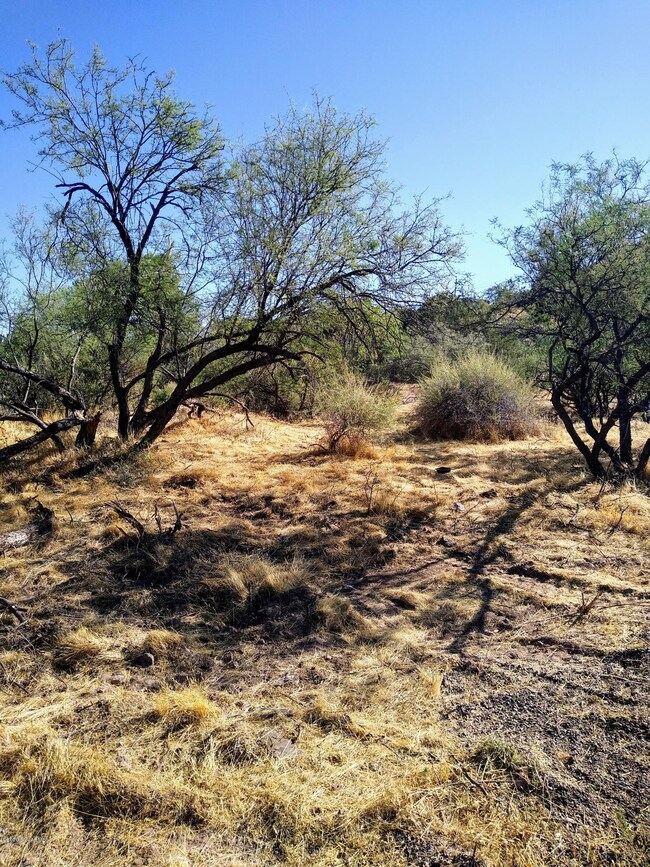 current landscape