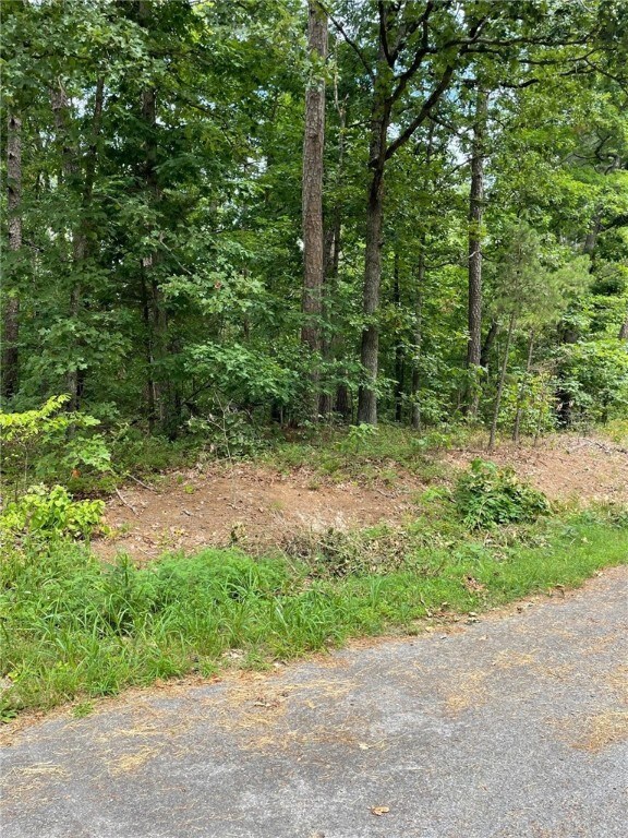 Lot 5 Tiverton Ln, Bella Vista, AR 72715 - photo 5
