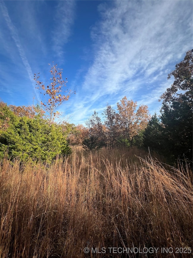 0029 Ruisdael Rd, Sand Springs, OK 74063 - photo 3