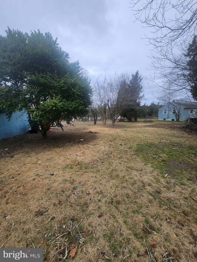 51 Highland Ave, Bridgeton, NJ 08302 - photo 6