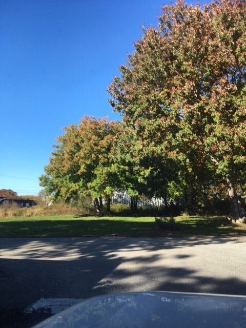 812 Forest Park Rd, Middletown, RI 02842 - photo 7