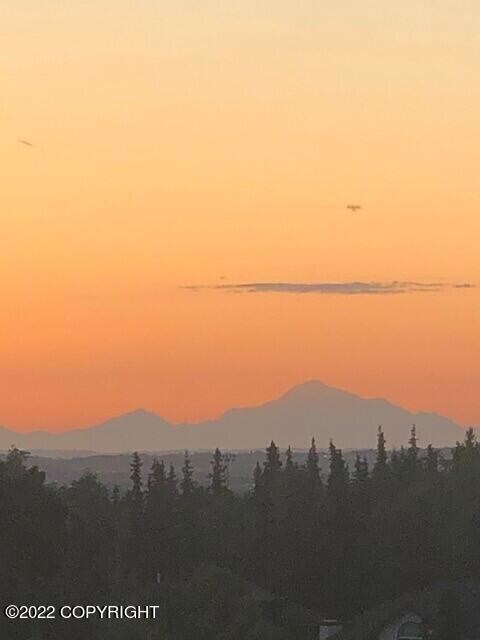 View 6