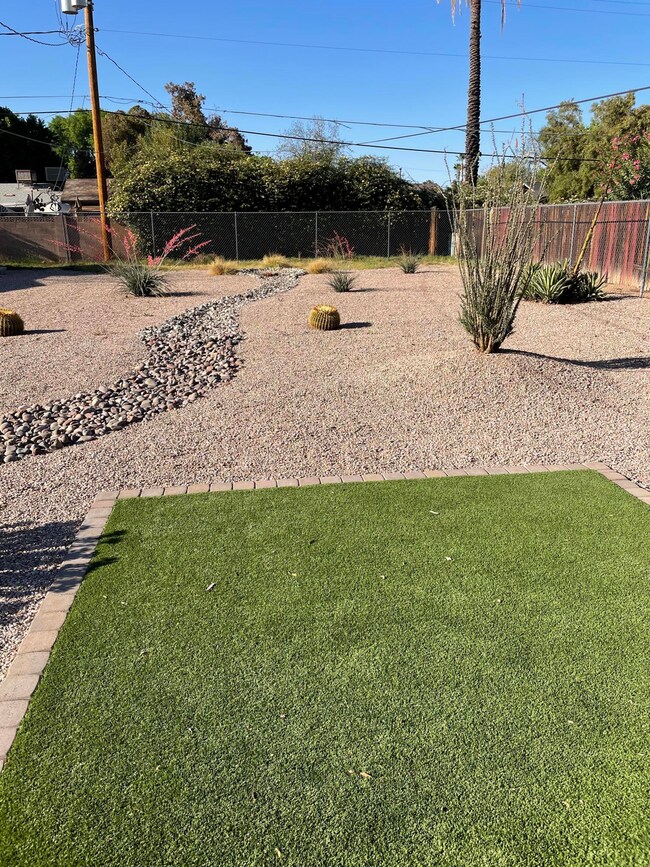 9th St Backyard