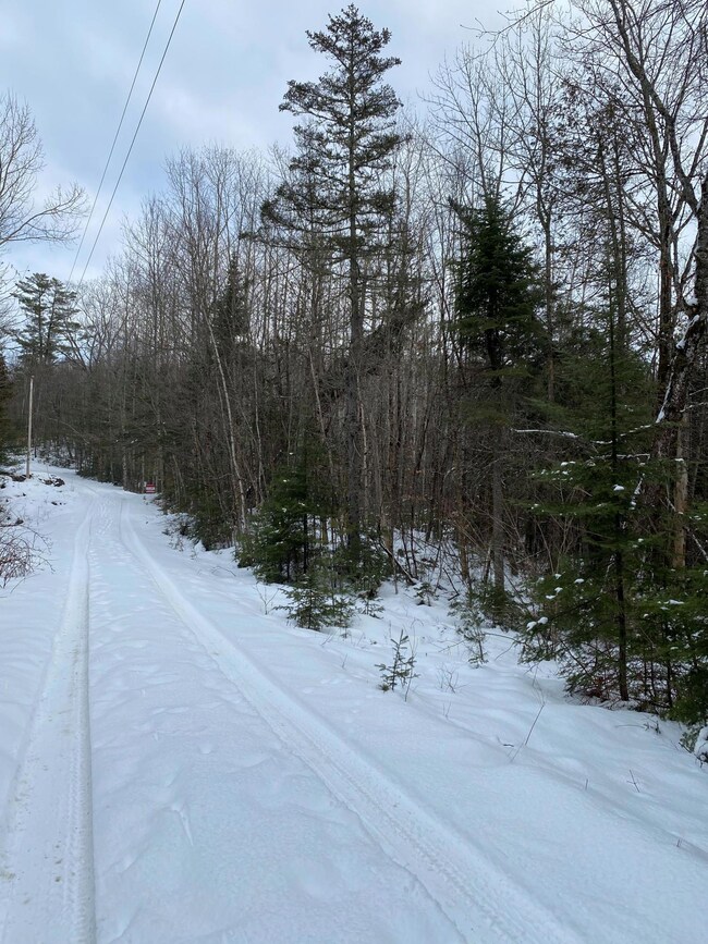 Webb Road Woodlot 4