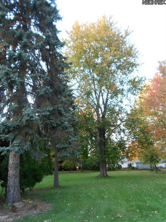 22290 Macbeth Ave, Cleveland, OH 44126 - photo 3