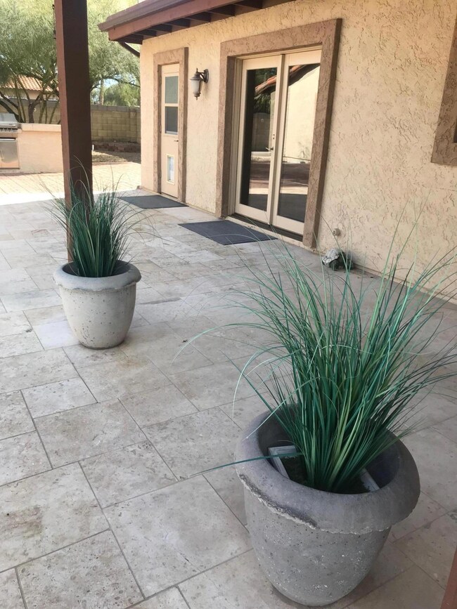 Back Patio