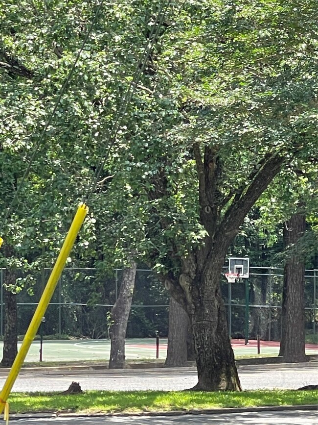 Basket ball anyone?