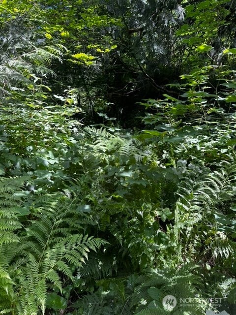 0 Hoff Cir, Everson, WA 98247 - photo 3