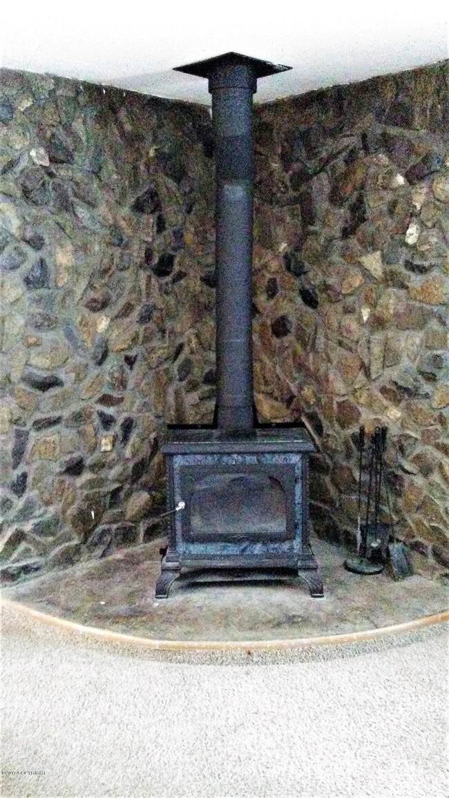 Wood Stove