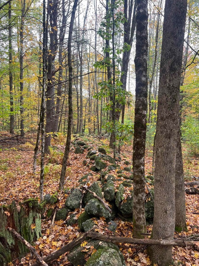 0 Freeman Colby Rd, Henniker, NH 03242 - photo 4