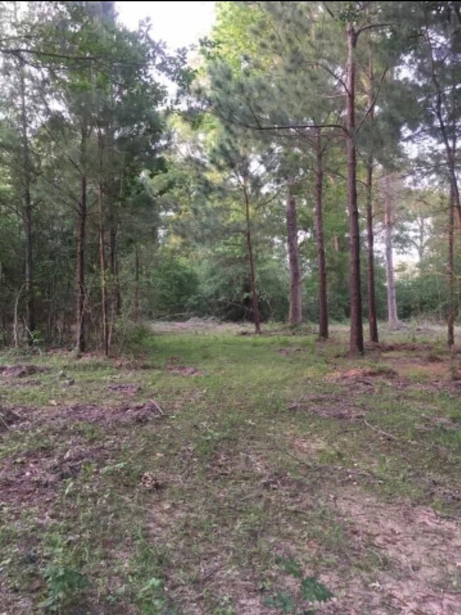 26164 Grand Pines Rd, Magnolia, TX 77355 - photo 3