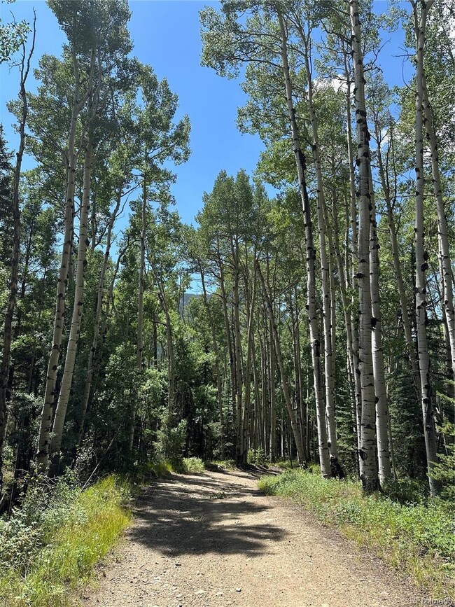 Lots 7-12 Calkins St, Jasper, CO 81132 - photo 5