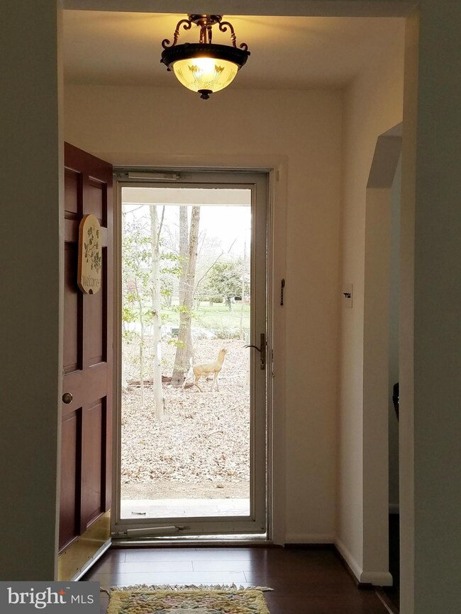 3680 Laurel Dr, Indian Head, MD 20640 - photo 3