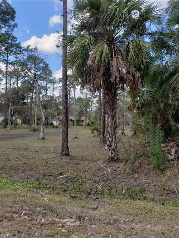 0 3rd St SW unit 219029589, Naples, FL 34117 - photo 3