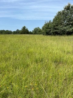 TBD County Road 2610, Tenn Colony, TX 75861 - photo 4