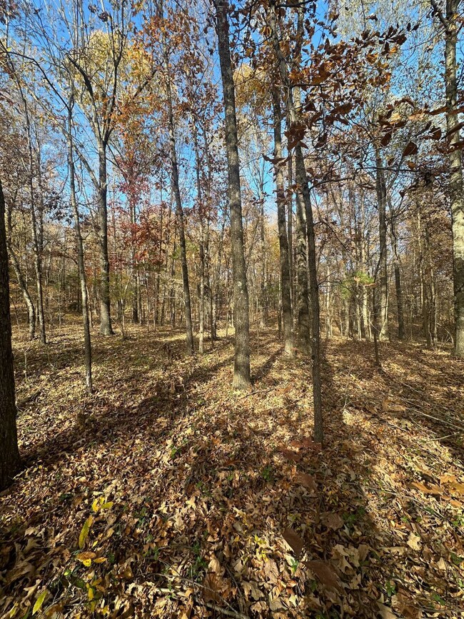 Parcel 086-00-00-027 001 Morgan Rickard Ln, Central City, KY 42330 - photo 6