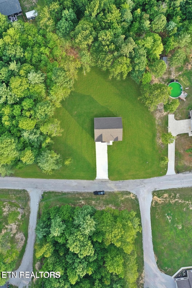 collov-ai_20250916113613_x6fai4