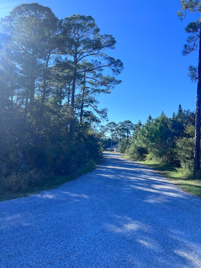 Lot 18 Paradise Point Ln, Santa Rosa Beach, FL 32459 - photo 6