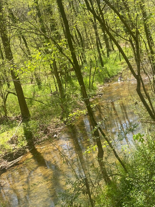 CREEK