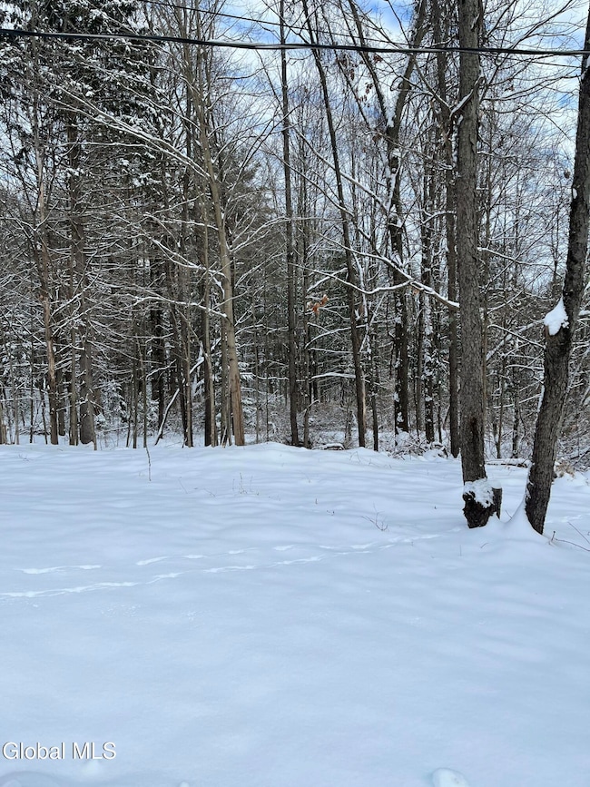 L 27.11 King Rd, Gansevoort, NY 12831 - photo 5