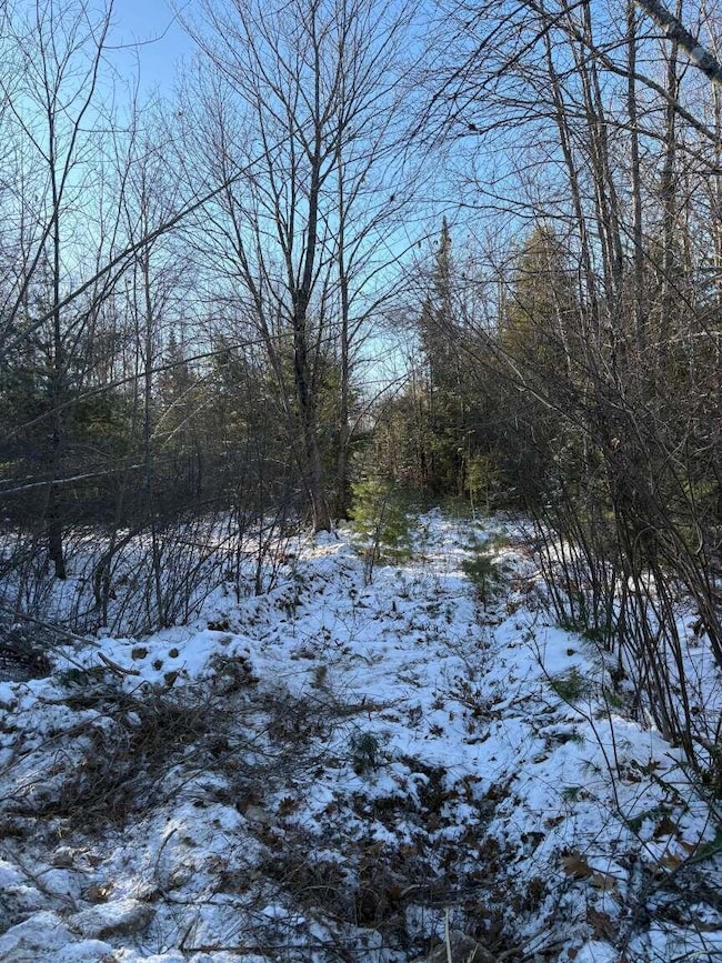 0 Meredith Dr, Windham, ME 04062 - photo 4