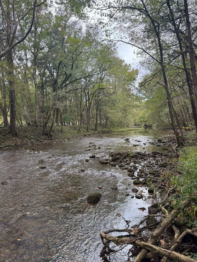 County Road 175, Estillfork, AL 35475 - photo 4