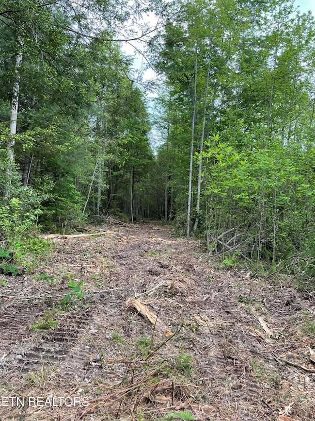 0 Scott Hwy, Winfield, TN 37892 - photo 4