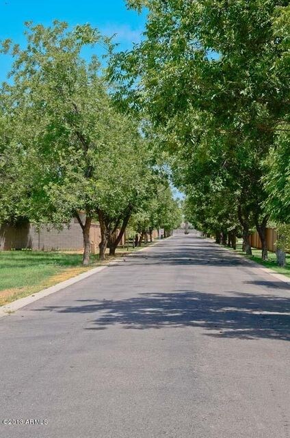 Lush Tree Lined Streets2