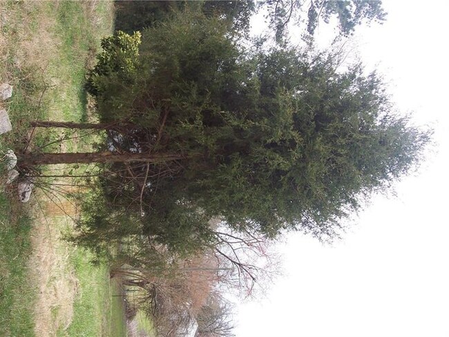 Easy to landscape this lot