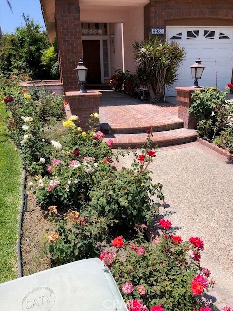 9923 Messina Cir, Cypress, CA 90630 - photo 3