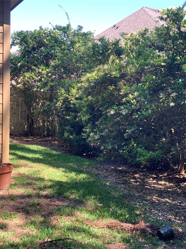 30135 Saw Oaks Dr, Magnolia, TX 77355 - photo 6