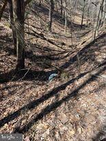 86 Mountain Top Rd, Mathias, WV 26812 - photo 5