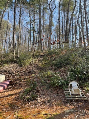 118 Ramshorn Rd, Charlton, MA 01507 - photo 4