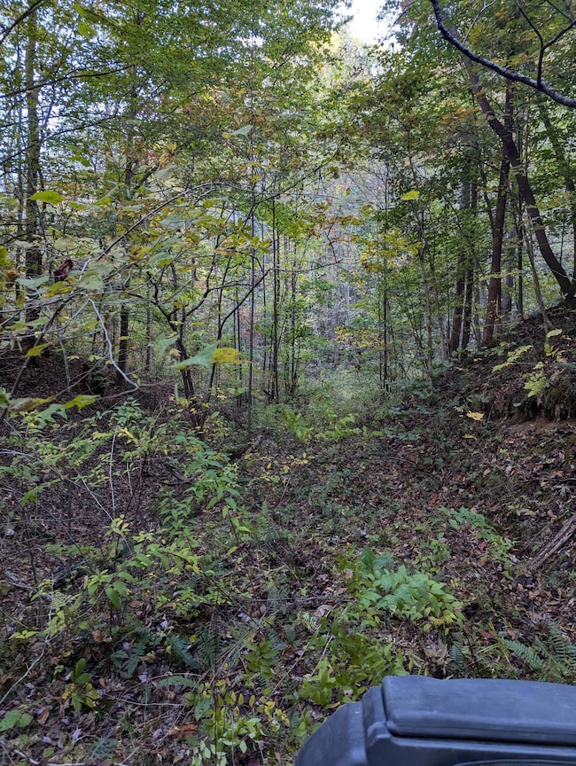 PXL_20241019_212747330