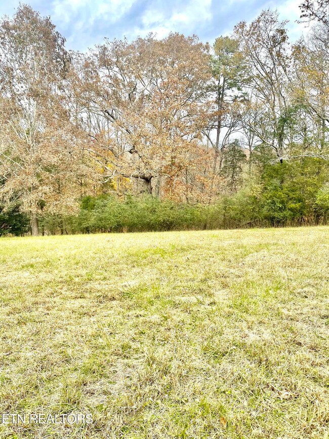 160 Brabson Ct, Kingston, TN 37763 - photo 4