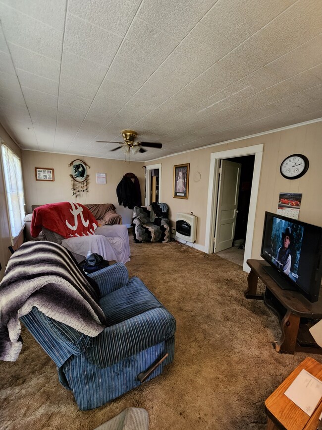 520 S Spring St, Manchester, TN 37355 - photo 6