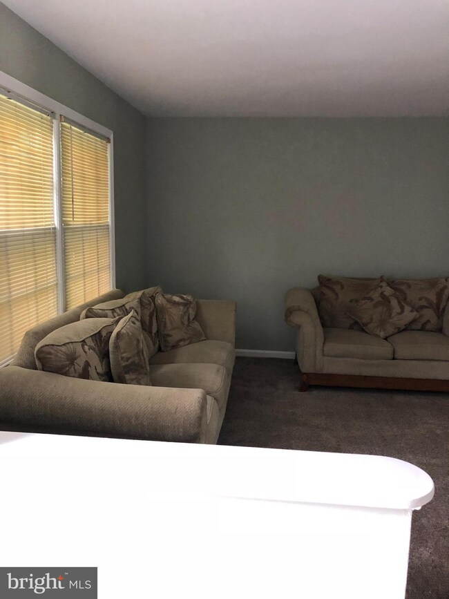 11706 Butlers Branch Rd, Clinton, MD 20735 - photo 5