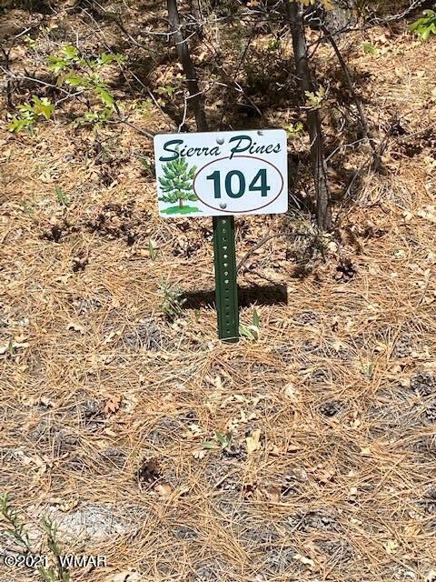 1511 S Elk Run Dr, Show Low, AZ 85901 - photo 3