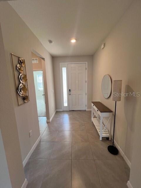 1509 Tropical Oasis Ave, Plant City, FL 33565 - photo 4