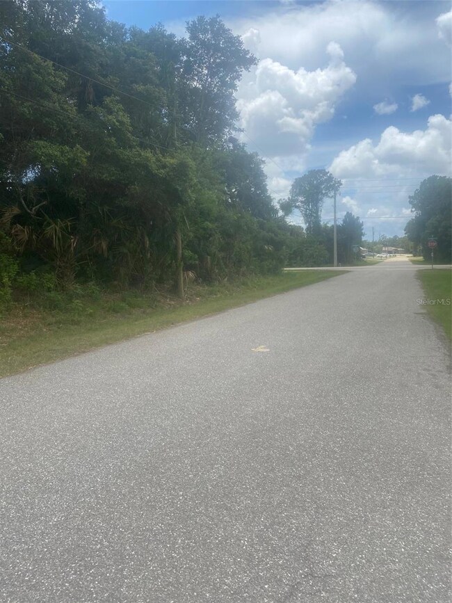 East side of lot on Michaler