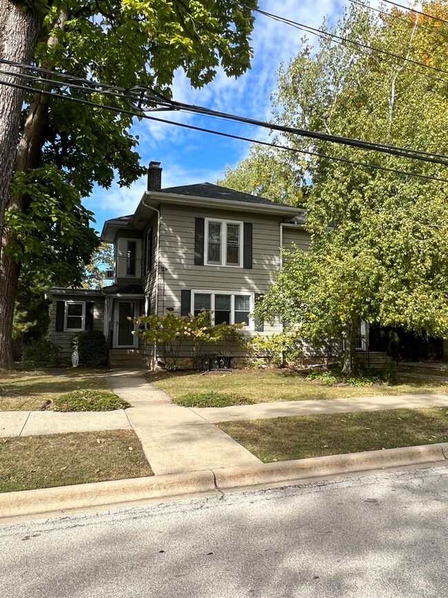 219 Webster St unit 1, Batavia, IL 60510 - photo 2