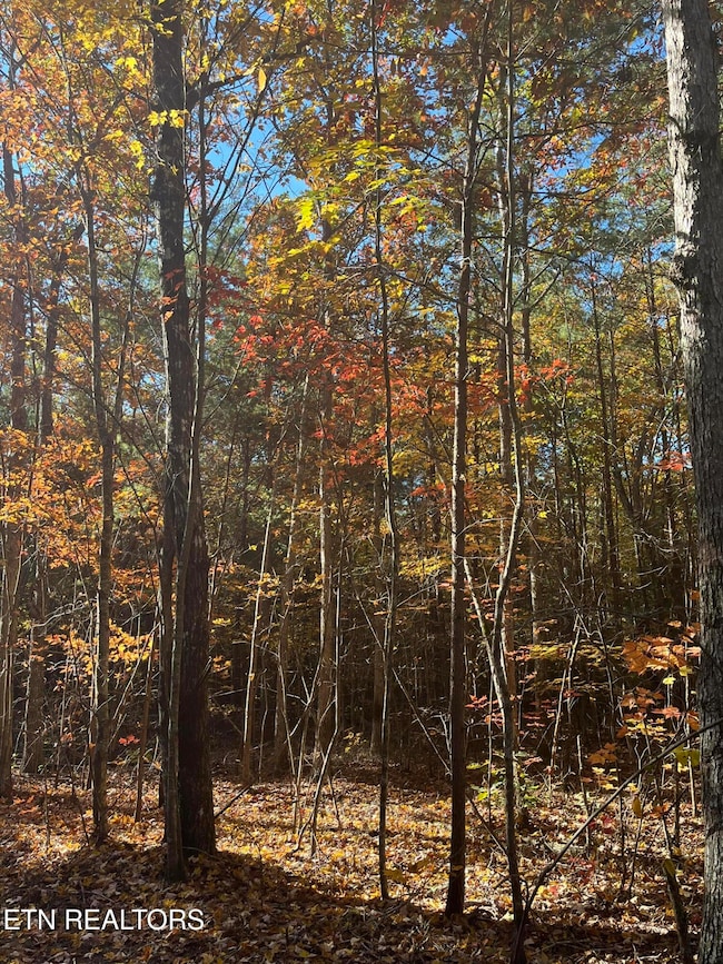 109 Cherokee Path, Tellico Plains, TN 37385 - photo 2