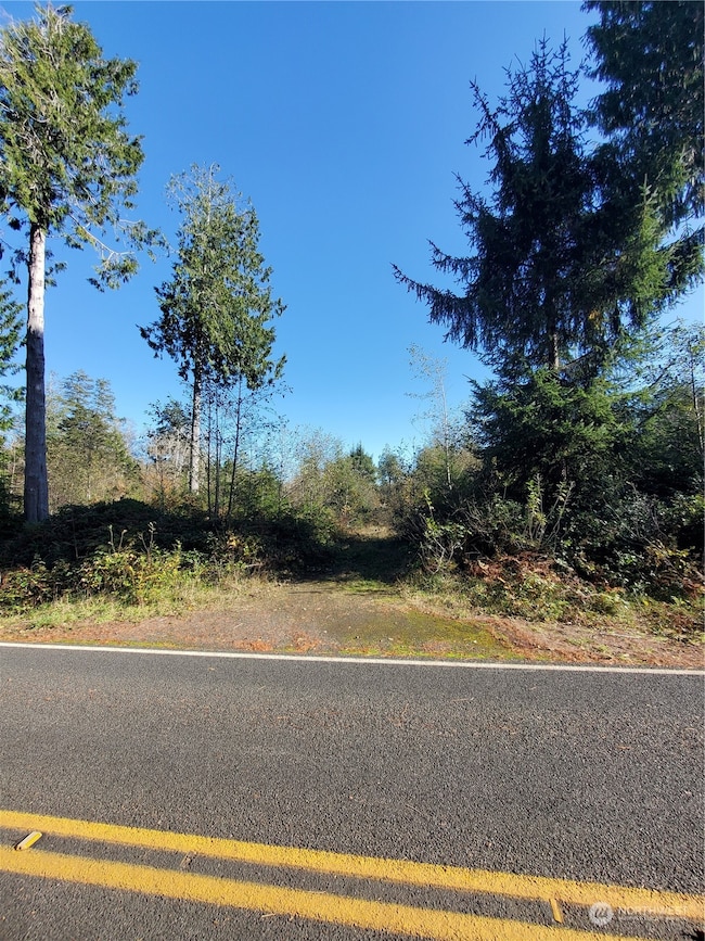 36602 Stackpole Rd, Oysterville, WA 98641 - photo 2