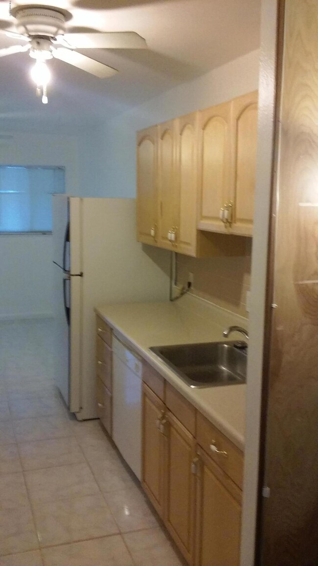 Buena Vista Galley Kitchen 2