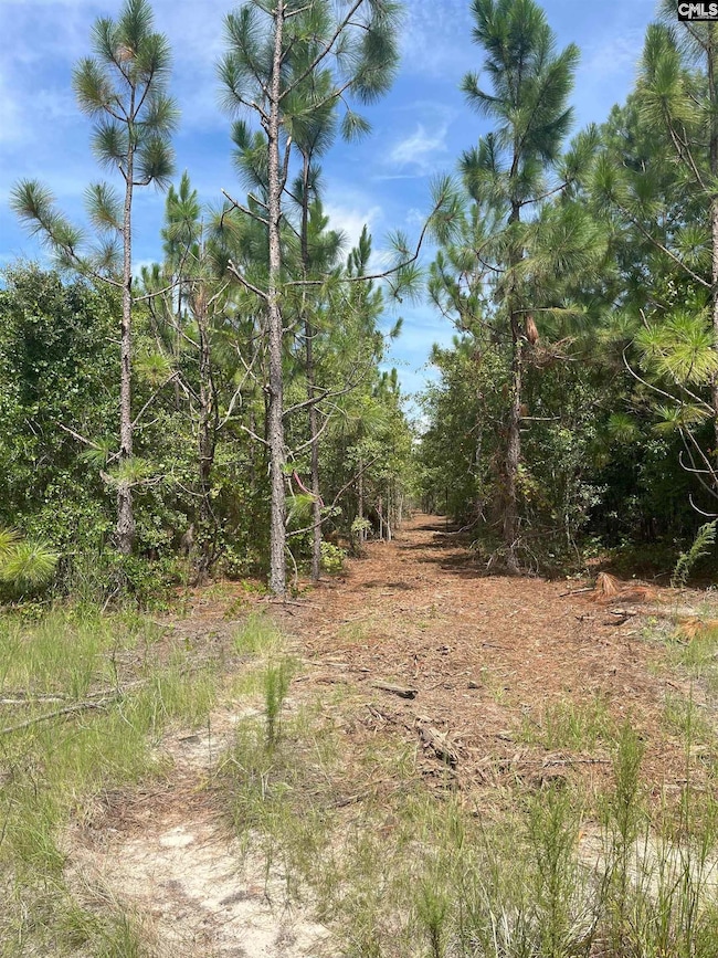 PPF 10 Payne Pond Rd unit PPF 10, Westville, SC 29175 - photo 7