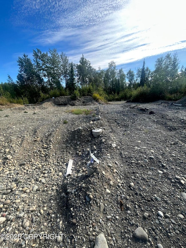 21069 Matsnu Rd, Big Lake, AK 99654 - photo 5